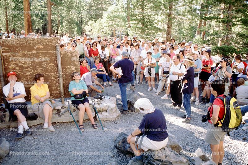 Crowds, Tourists, Mammoth Lakes area