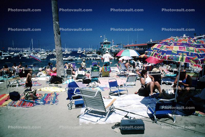 Beach, Parasol, Harbor, Avalon, Umbrella, Chairs, Crowded