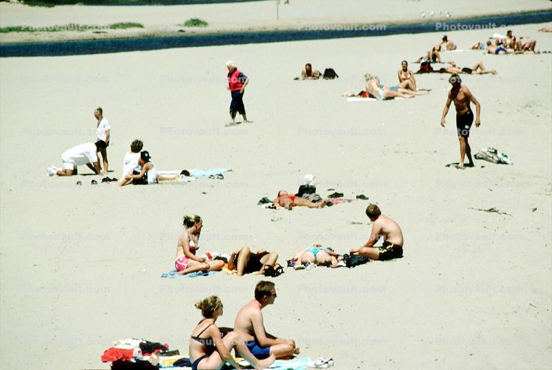 Sun Worshippers, Beach, Summer, sand