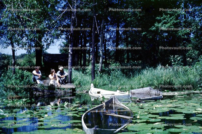 Water Lilies, pads, toadstools, boat, dock, pond, 1950s