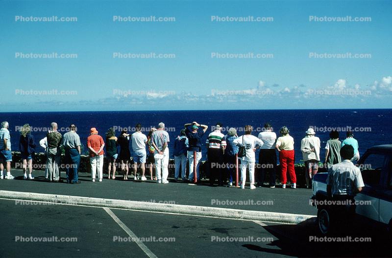 Whale Watching, Kauai, 1995, 1950s