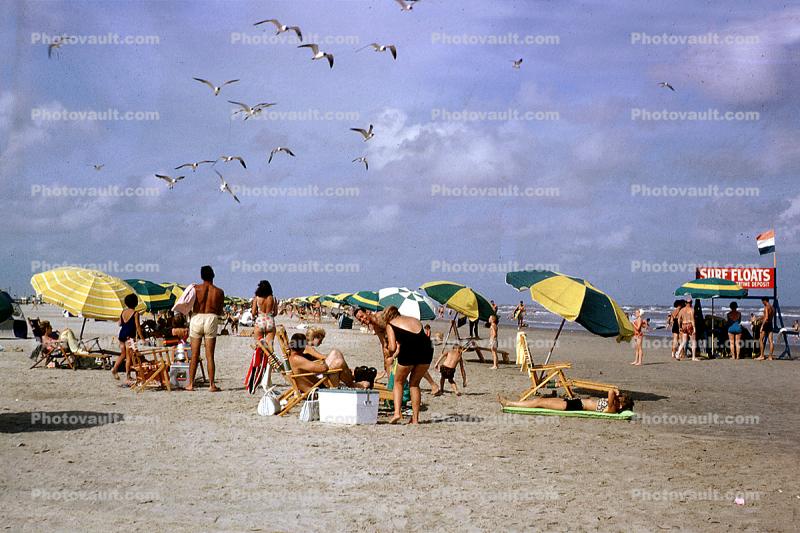 Beach, Sand, Parasols, Seagulls, 1963, 1960s