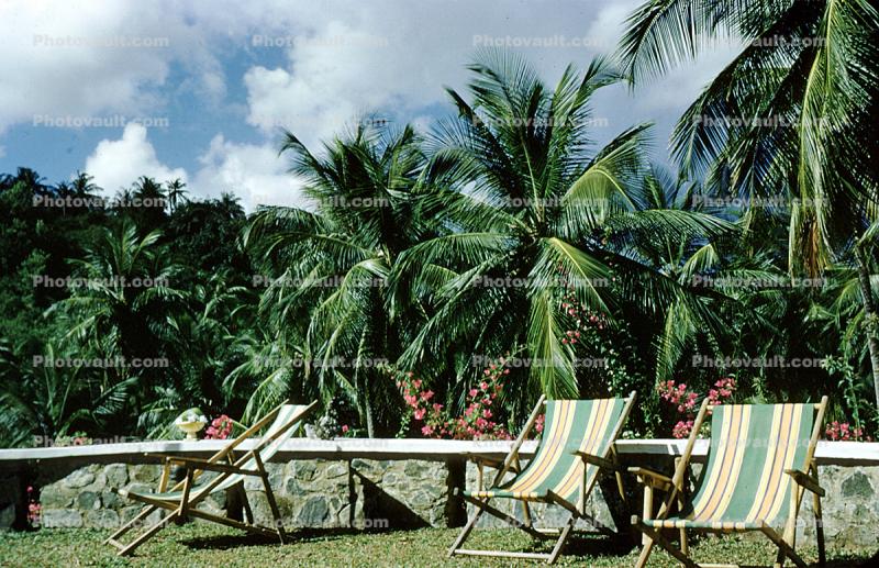 Lounge Chairs, Coconut Palm Trees, Barbados, 1950s