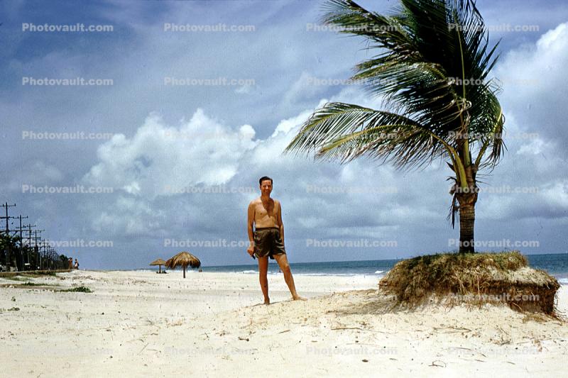 Beach, Sand, Ocean, Palm Tree, Recife, Brazil, 1950s