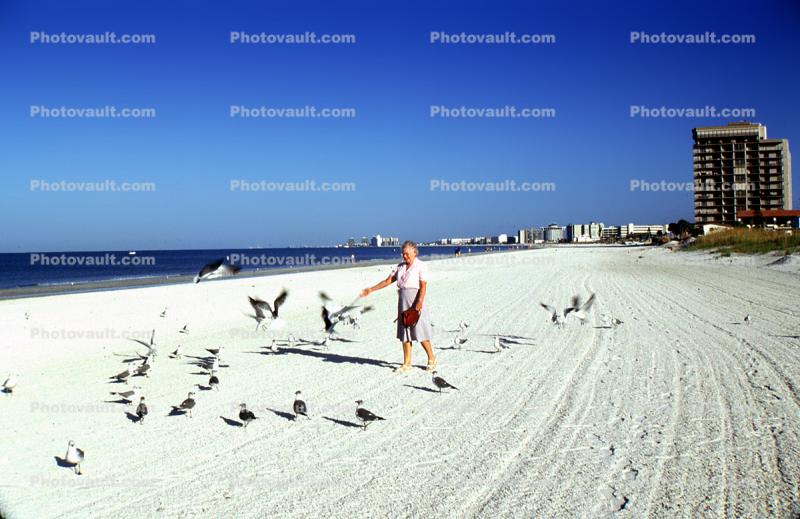 Beach, Sand, Ocean, Man, Birds, building, seagulls