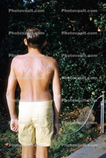 male, boy, back, sun, suntan, tanning, sunny, trunks, swimsuit, backyard, 1950s