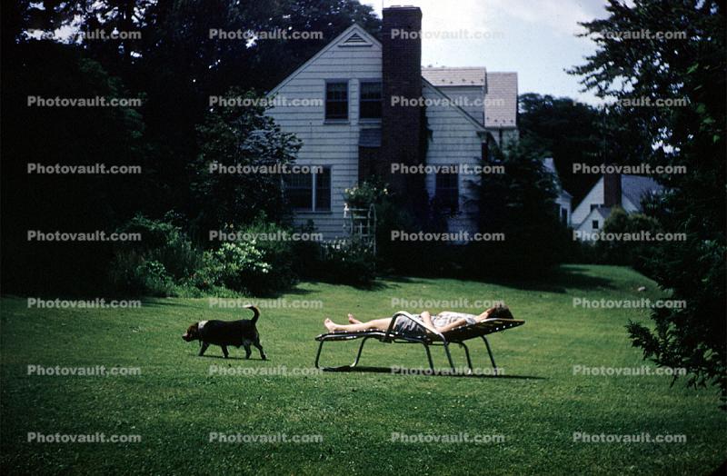 Backyard, Lounging, Long Island, New York, 1940s