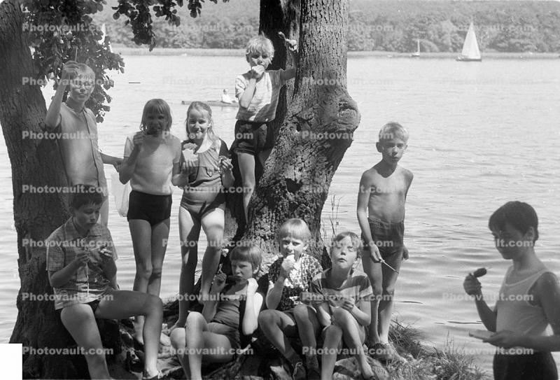 Boys, Girls, Lake, Swimsuit, 1960s
