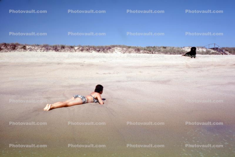 woman, beach, sand, bikini, dog