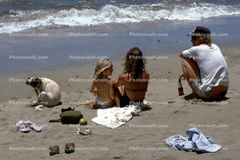 Beach, Sand, Water, Girl, Woman, Man, Dog