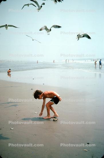 Boy on the Beach with Seagulls
