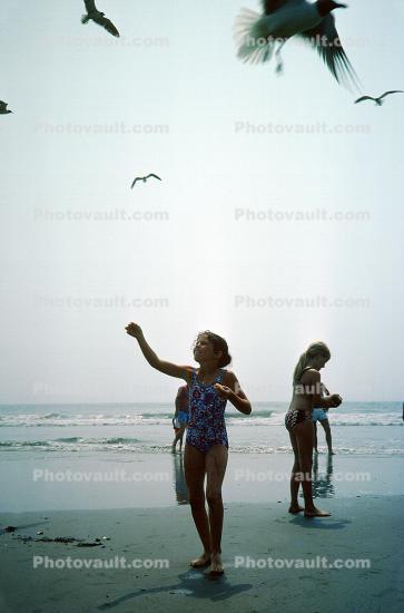 Girl on the Beach with Seagulls