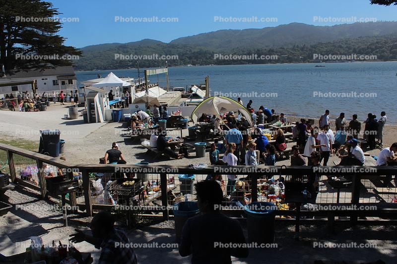 Oyster Picnic, Beach, Tomales Bay, Marin County, California