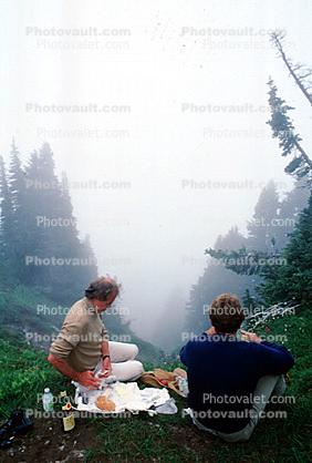 Mount Rainier, 1980s