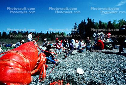 Bear Island, Lobster Feast, Penobscot Bay, Maine
