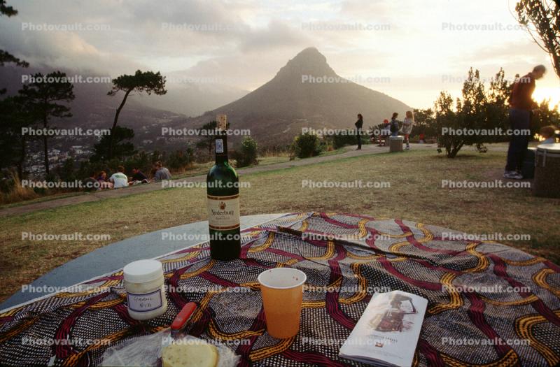 Wine Bottle, Capetown South Africa