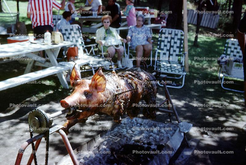 Roast Pig, BBQ, Rotisserie, Fire Pit, 1960s