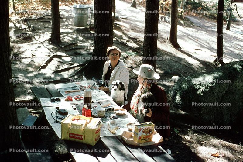 Picnic Basket, Table, women, forest, September 1973, 1970s