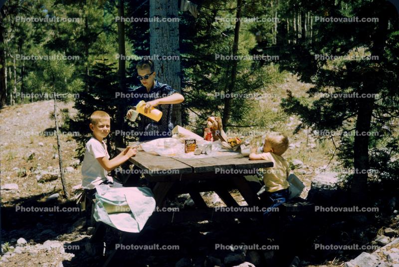 ?Family at a Picnic Table eating, boys