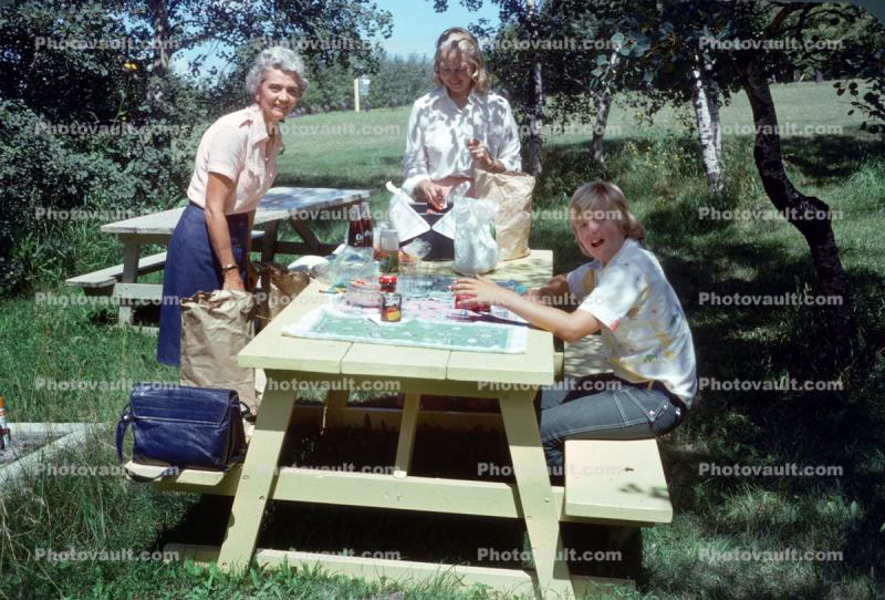 Happy Family on a Picnic