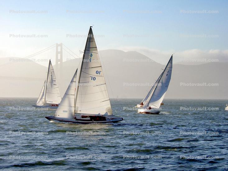 Windy Day on San Francisco Bay
