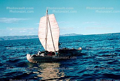Lake Titicaca, Reed Boat, Totora Reeds