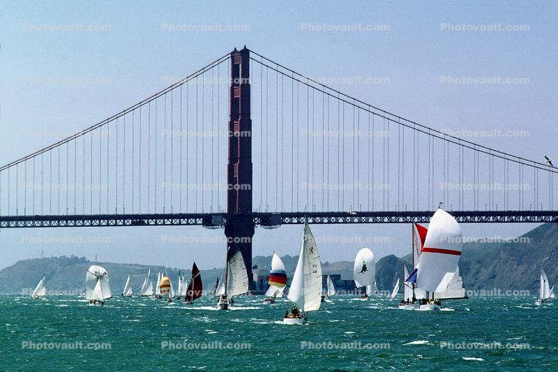 sailboats stuffed under the bridge, Golden Gate Bridge