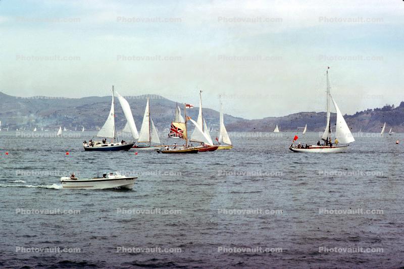 Sailboats, Marin County, 1950s