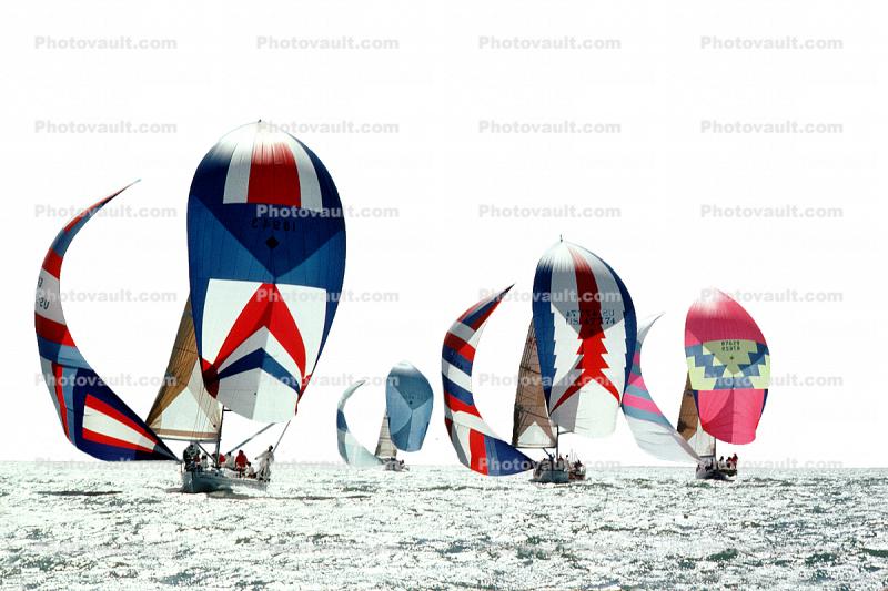 Spinnakers Billowing in the Wind