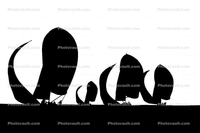 Spinnakers Silhouette, Billowing in the Wind, logo, shape