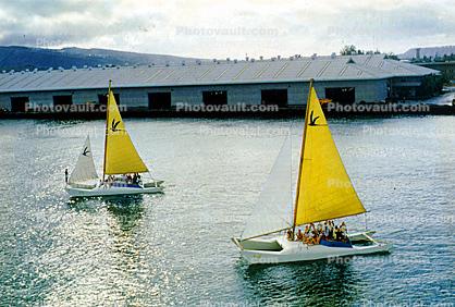 Yellow Sail Catamarans, Per