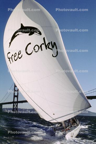 Free Corky