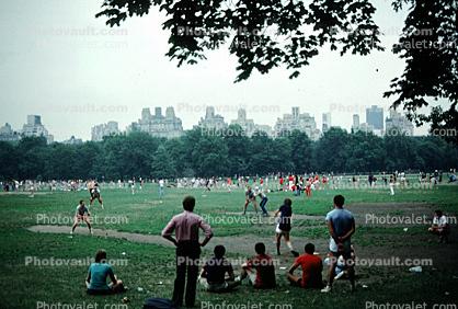 Central Park, Manhattan, summer, summertime