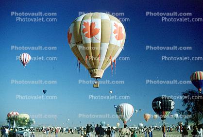 Canadian Maple Leaf, Albuquerque International Balloon Fiesta, morning