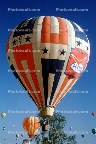 Peyton, Albuquerque International Balloon Fiesta, morning