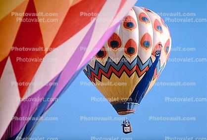 Peacock, Albuquerque International Balloon Fiesta, morning