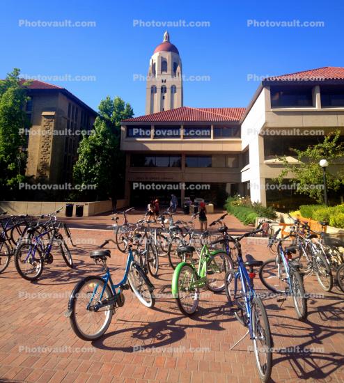 Stanford Bicycles, Hoover Tower, buildings, Campus