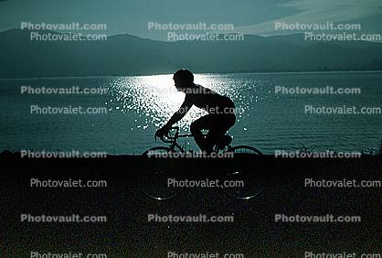 Man Riding Bicycle, Tiburon Linear Park, Bay, water
