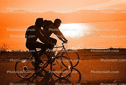 Men Riding Bicycle, Tiburon Linear Park, Bay, water, sunset
