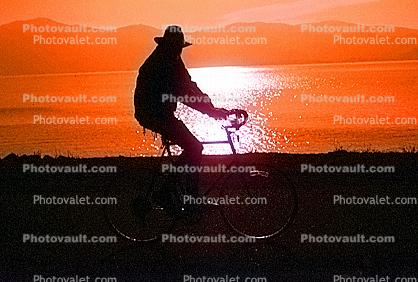 Bay, water, Tiburon Linear Park, sunset