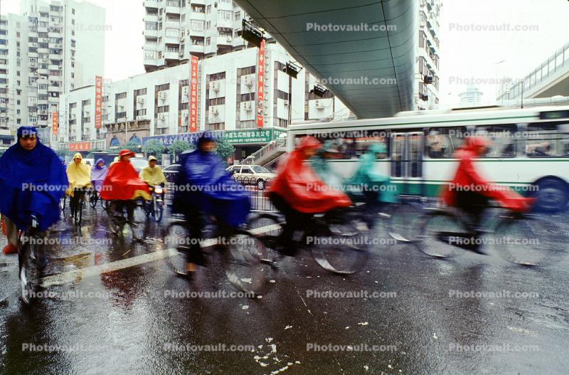 Bicyclist riding in the rain, crosswalk