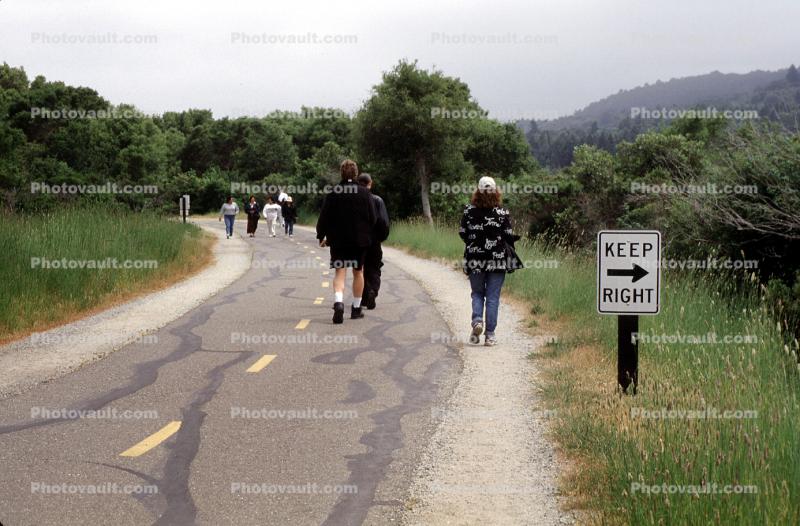 Bike Path, Crystal Springs Reservoir, San Mateo County, California