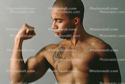 Muscular Guy