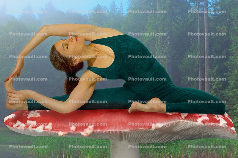 Sonoma County Mushroom Yoga, Jan Zeitlin Yoga