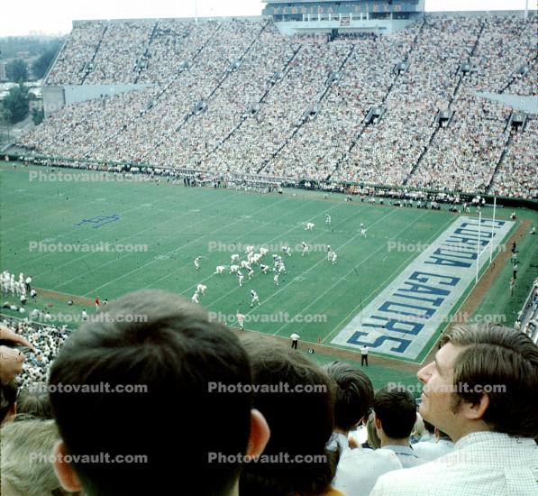 Florida Gators, Crowds, Audience, Bleachers, People, 1960s