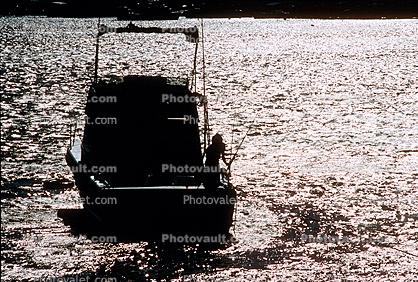 Inboard Boat, Motorboat