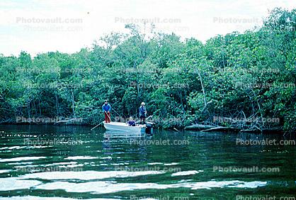 Mangroves, trees, swamps, outboard motor boat, boys, wetlands, bayou