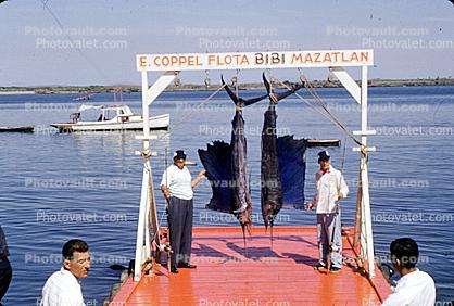 E. Coppel Flota, Bibi, Mazatlan, Mexico, fishermen, man, rod & reel, 1953, 1950s