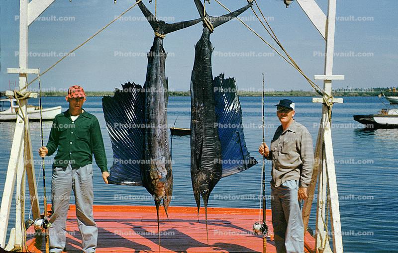 E. Coppel Flota, Bibi, Mazatlan, Mexico, fishermen, man, rod & reel, 1953, 1950s