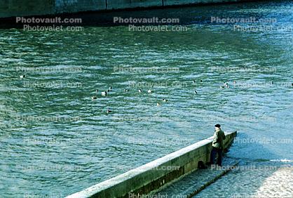 River Seine, birds, ramp